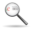 search engine optimization in delhi india, seo delhi, seo india